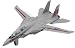F-14 Tomcat