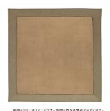 SANYO �z�b�g�J�[�y�b�g (2������) SYC-BS20E5(C)