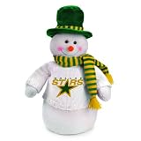 18" NHL Dallas Stars Plush Dressed for Winter Snowman Christmas Decoration
