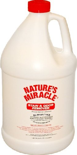 Nature's Miracle Stain & Odor Remover for Pets