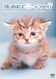 はじめまして ニャンタイム[DVD]