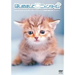�͂��߂܂��� �j�����^�C��[DVD]