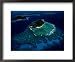 Aerial View of Melanesian Islands Photographers Framed Art Poster Print by James L. Stanfield, 22x18