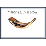 Natural Ram's Horn Shofar for Jewish New Year
