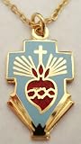 Sacred Heart of Jesus Christ in Cross Catholic Christian Pendant Necklace w/chain