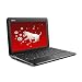 PC Hardware : MSI Wind U100-432US 10-Inch Mini Laptop (1.6 GHz Intel Atom, 1 GB RAM, 160 GB Hard Drive, 6 Cell Battery, 802.11 b/g/n+BT, XP Home) Black