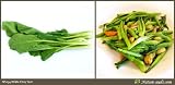 Nature Seeds White Choy Sum 1000 Vegetable Gardening Seeds 41tasI SvmL. SL160 Nature Seeds White Choy Sum 1000 Vegetable Gardening Seeds
