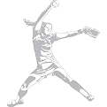 Girl Softball Pitcher Sudden Shadow Wall Appliqué