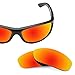 Revant Polarized Replacement Lenses for Arnette Freezer AN4155 Fire Red MirrorShield