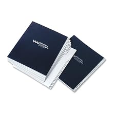 Globe-Weis Everyday File Fast Sorter, 1-31 Daily, Letter Size, 20 Gray Pages, Blue Cover (4EDF)