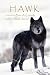 Books : Hawk: A Novel