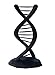 DNA Double Helix Science Gift 3D Printed Small Version