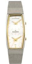 Skagen Women's Dual-Time Mesh Watch #281SGSC