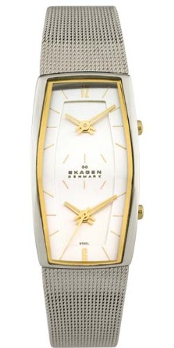 Skagen Women's Dual-Time Mesh Watch #281SGSC