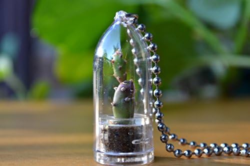 Prickly Pear Cactus Plant Necklace. Cactus Terrarium Gift.