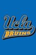UCLA Bruins Flag - Garden Size