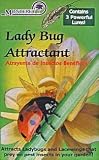 Monterey Lady Bug Attr 3/Kit