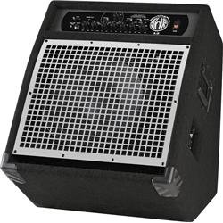 SWR&reg; WorkingPro 12 Bass Amplifier