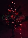 LED String Lights – Red Color (10 Meters or 32.8 Feet Long)