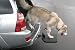 Heininger 3052 PortablePET Twistep Dog Hitch Step