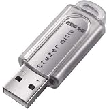 SanDisk Cruzer Micro - USB flash drive - 256 MB - Hi-Speed USB