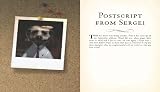 picture of A Simples Life: The Life and Times of Aleksandr Orlov