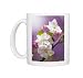 Photo Mugs of Apple (Malus domestica) from Science Photo Library