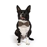 日本初上陸!! カナダ生まれのおしゃれな犬/猫用蝶ネクタイの首輪 Loyal Luxe（ロイヤル・ラックス）【The Mechanic】 (Mサイズ)