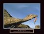 (22x28) Goals Mountain Climber Motivational Poster Print