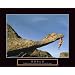 (22x28) Goals Mountain Climber Motivational Poster Print