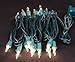 Novelty Lights 8.5 Feet 20 Bulb Clear Mini Light String on Green Wire, Non-Connectable Incandescent Fairy Lights for Bottles and Crafts, 4