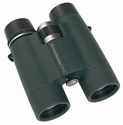 Alpen RAINIER 10x42 Waterproof, Long Eye Relief, BAK4 Binoculars