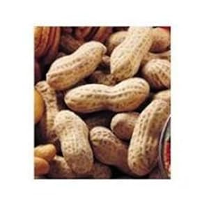 Fisher Virgin Peanut Blanched Roasted & Salted, 30-Pound