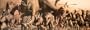 (13x36) Dinosaur Panorama Art Poster Print Animal Poster Print by Haruo Takino, 36x12