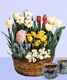 Ready to Grow Mother`s Day Assortment