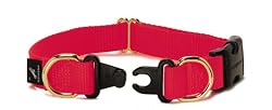 Premier Pet Pet KeepSafe 1-Inch Medium Break-Away Dog Collar, Red