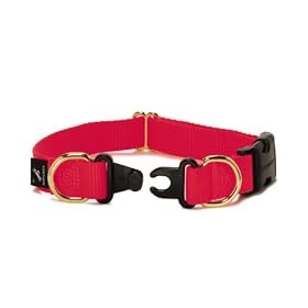 Premier Pet KeepSafe 1-Inch Medium Break-Away Dog Collar, Red