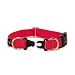 Premier Pet KeepSafe 1-Inch Medium Break-Away Dog Collar, Red