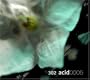 302 Acid 0005