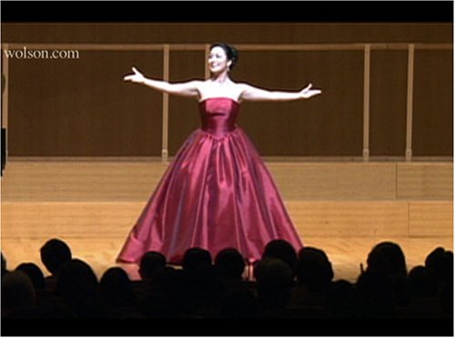山河を越えて/高麗山河わが愛 [DVD]