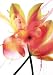 Internal Rapture 1 by S & r Rasheed. Size 27.50 inches width by 39.00 inches height. High Quality Art Poster Print