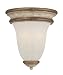 Minka Accents Provence 2 Light Wall Sconce 1230-580