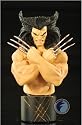 Weapon X (Wolverine) Mini Bust Bowen Designs!
