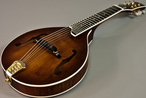 Gold Tone GM-6+ 6 String Acoustic Electric Guitar Mandolin with Case - Oil