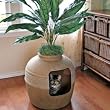 Good Pet Stuff Hidden Litter Litter Box