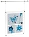 Umbra Trapeze 8 by 10-Inch photo or multiple photo Hanging Frame, Nickel