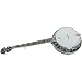 5 String Banjo