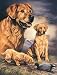 TIN SIGN NOSTALGIC ~ GOLDEN RETRIEVERS AND DECOY BY GRAHAM
