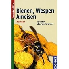 Bienen, Wespen, Ameisen: Hautfl�gler Mitteleuropas