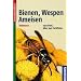 Bienen, Wespen, Ameisen: Hautfl�gler Mitteleuropas